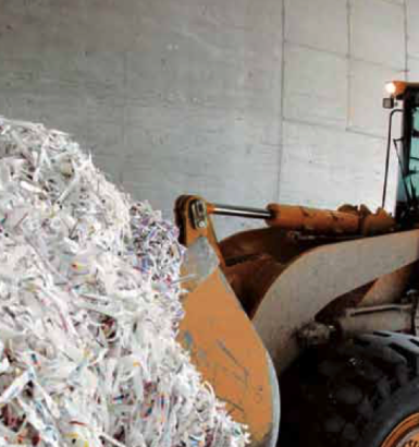 Ratgeber Papier - Wald und Klima schützen